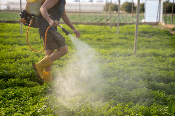 Flea Control Services in Iola, WI