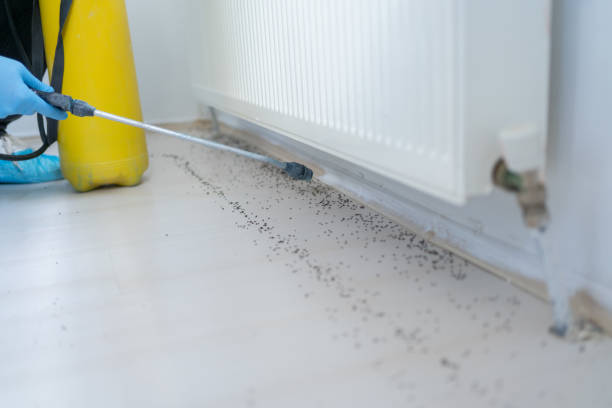 Best Best Pest Control Companies  in Iola, WI