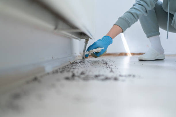 Best Pest Removal Services  in Iola, WI
