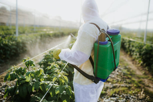 Best Termite Control Services  in Iola, WI